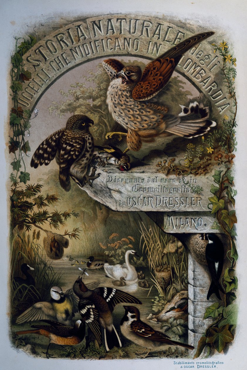 伦巴第地区鸟类筑巢的自然史》扉页，作者Eugenio Bettoni（1845-1898），由Oscar Dressler雕刻，意大利。 作者 欧金尼奥·贝托尼，奥斯卡·德雷斯勒