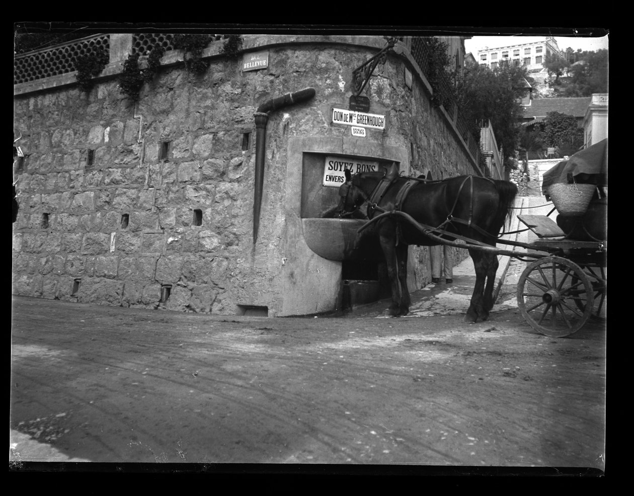 蒙特卡洛 作者 欧仁·特鲁塔（EugèneTrutat）