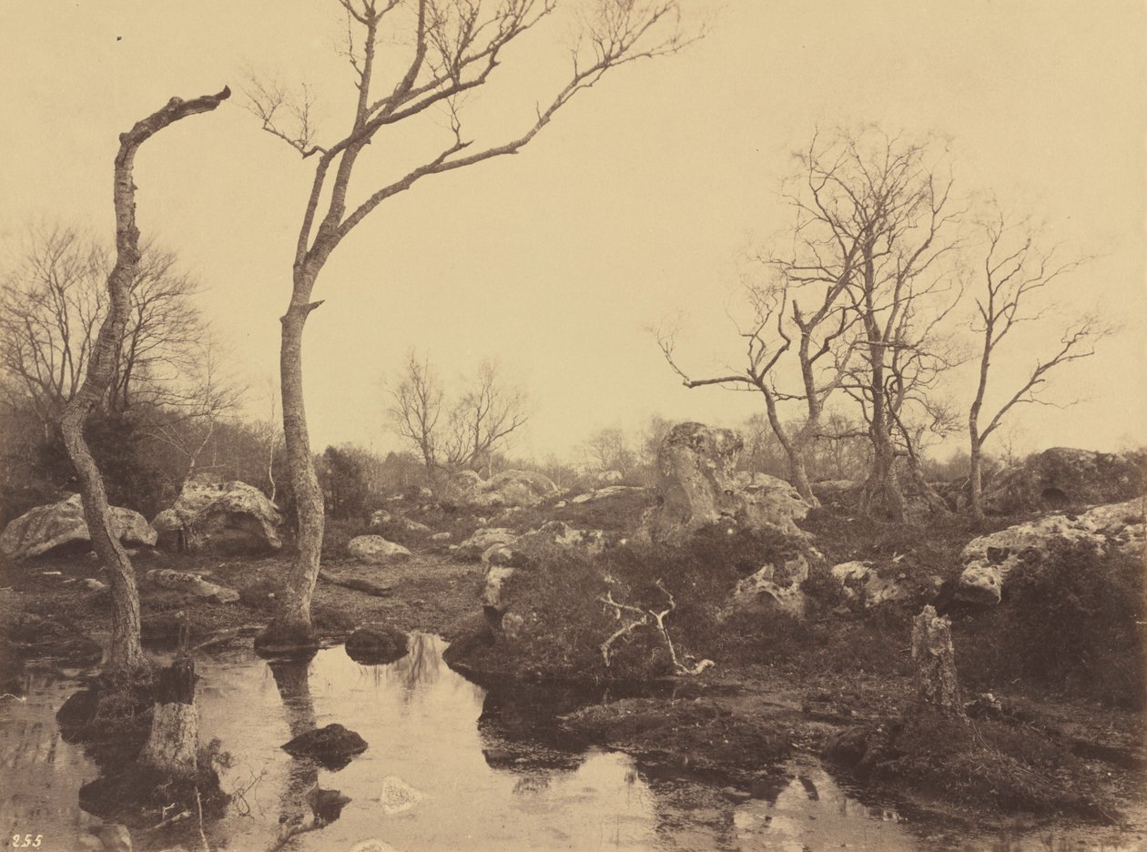 Belle Croix，约 1858 年（照片） 作者 欧仁·库维利（EugèneCuvelier）