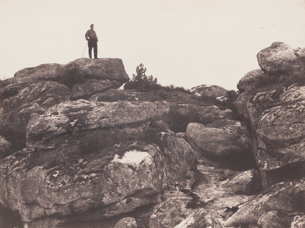 Gorges de Franchard - Forêt de Fontainebleau Franchard Gorges Fontainebleau Forest..., 1863。 作者 欧仁·库维利（EugèneCuvelier）