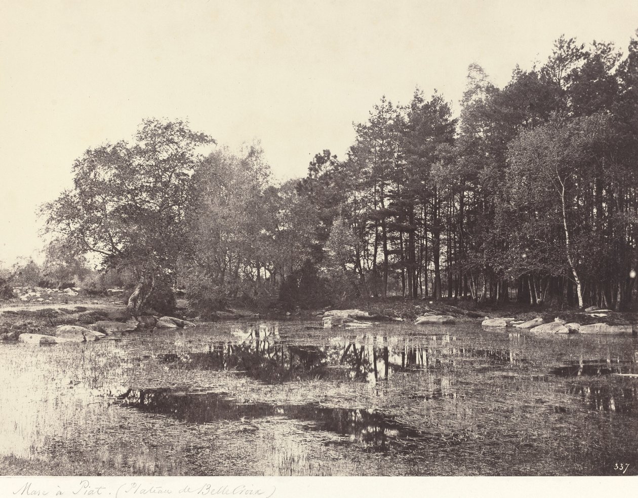 皮亚特（Belle-Croix Plateau）的沼泽地 作者 欧仁·库维利（EugèneCuvelier）