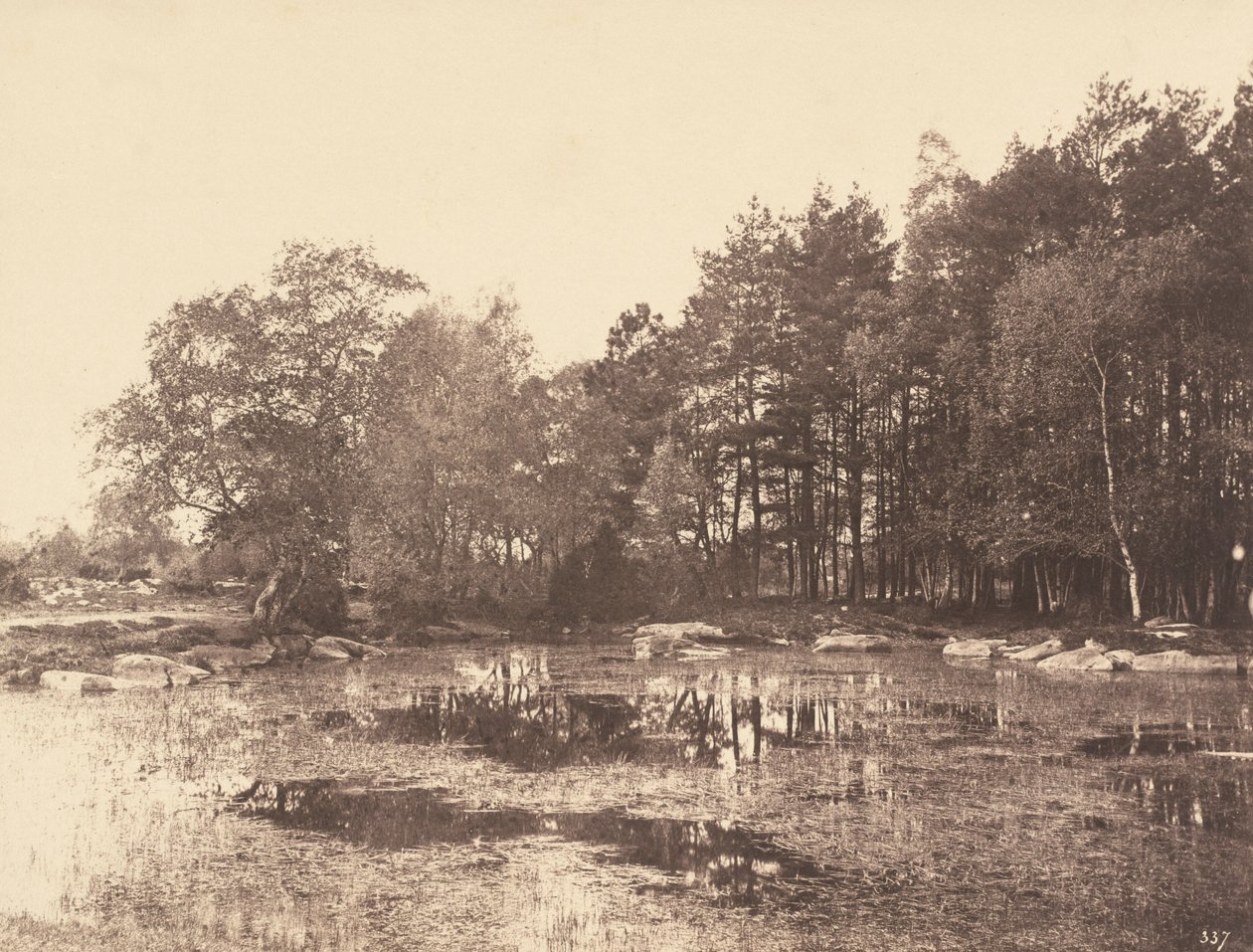 皮亚特（贝莱克鲁瓦高原）沼泽，约 1863 年（照片） 作者 欧仁·库维利（EugèneCuvelier）
