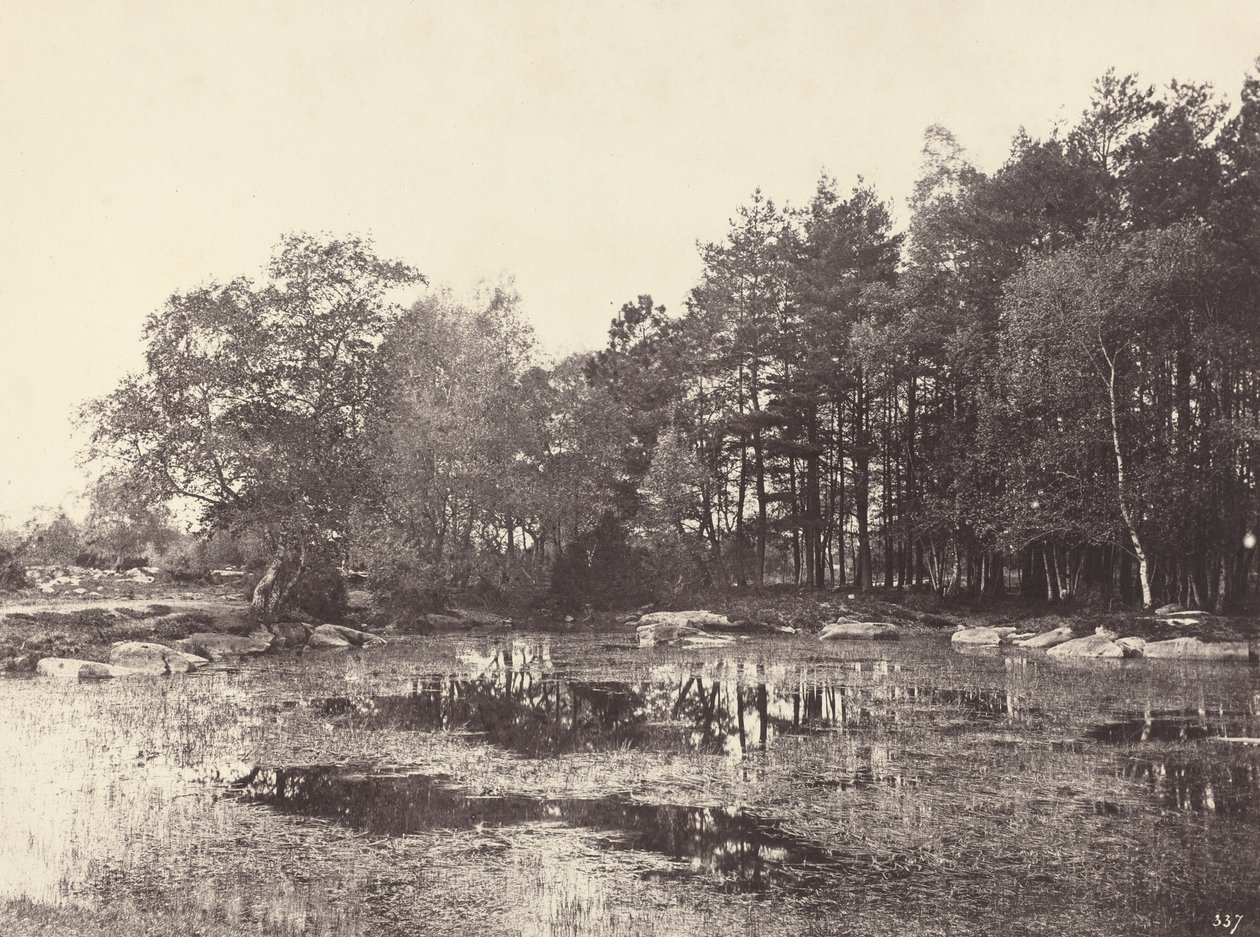 沼泽地在Piat Belle-Croix Plateau，约1863年。 作者 欧仁·库维利（EugèneCuvelier）
