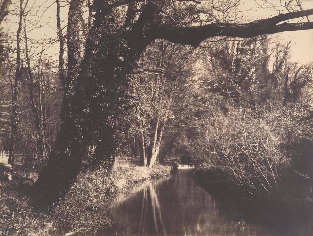 库朗斯公园，1860-70。 作者 欧仁·库维利（EugèneCuvelier）
