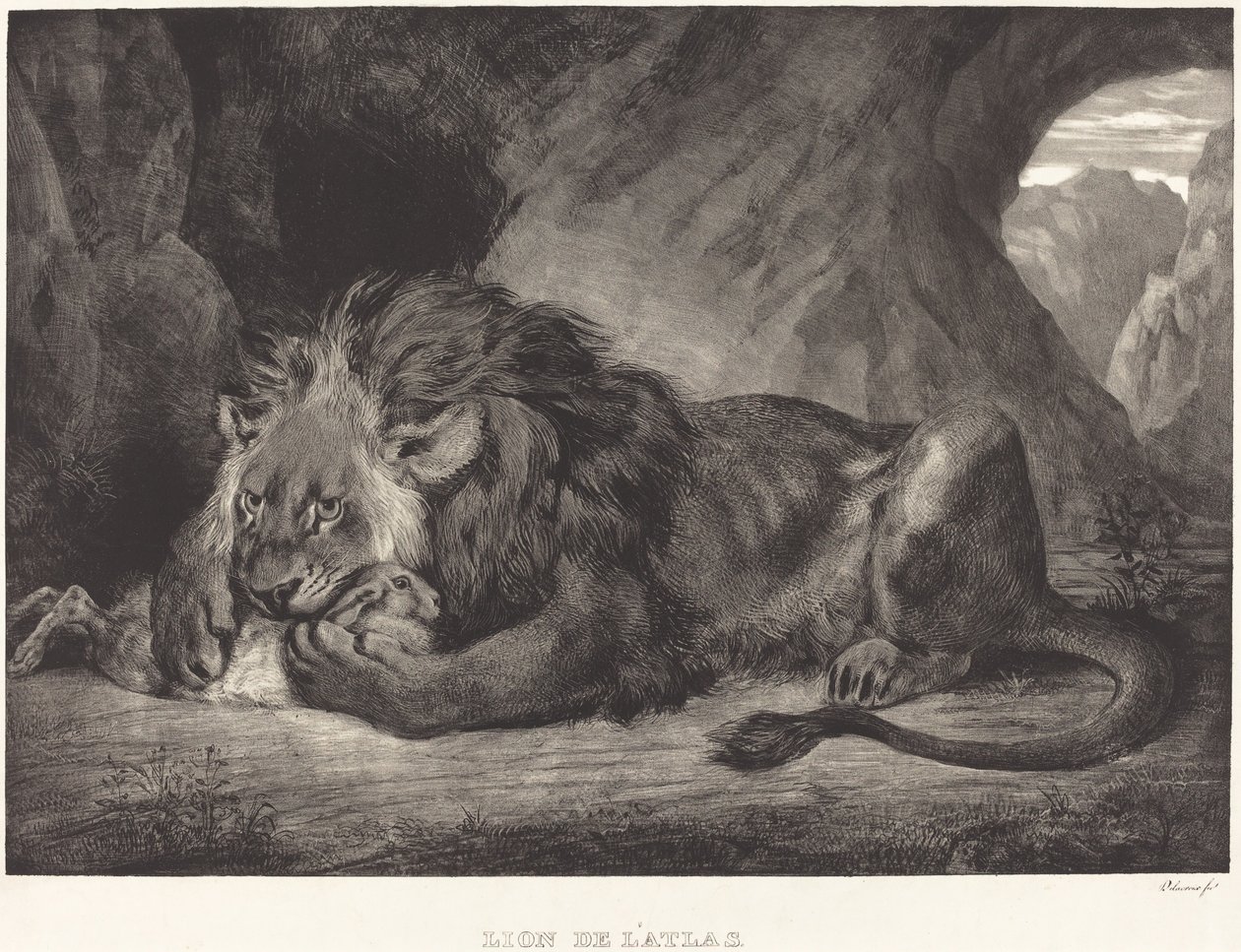 阿特拉斯山脉的狮子 Lion de l
