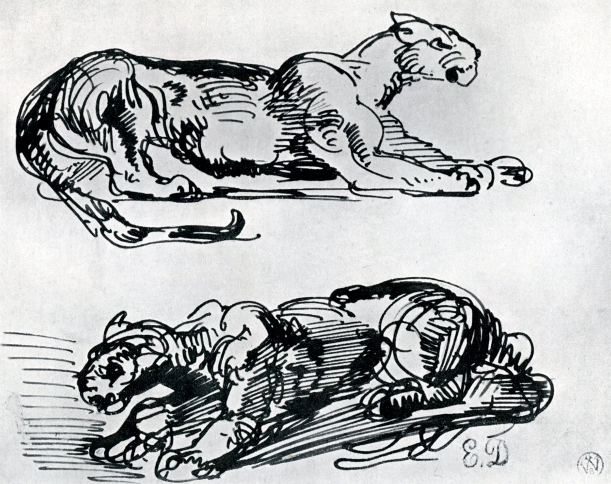 黑豹研究，1913年 作者 费迪南德·维克多·尤金·德拉克罗瓦