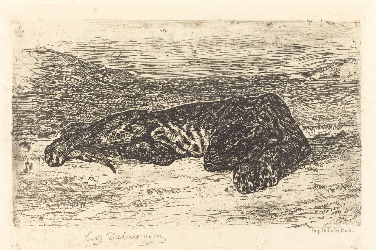 睡在沙漠里的老虎 Tigre couché dans le désert, 1846. 作者 尤金·德拉克洛瓦