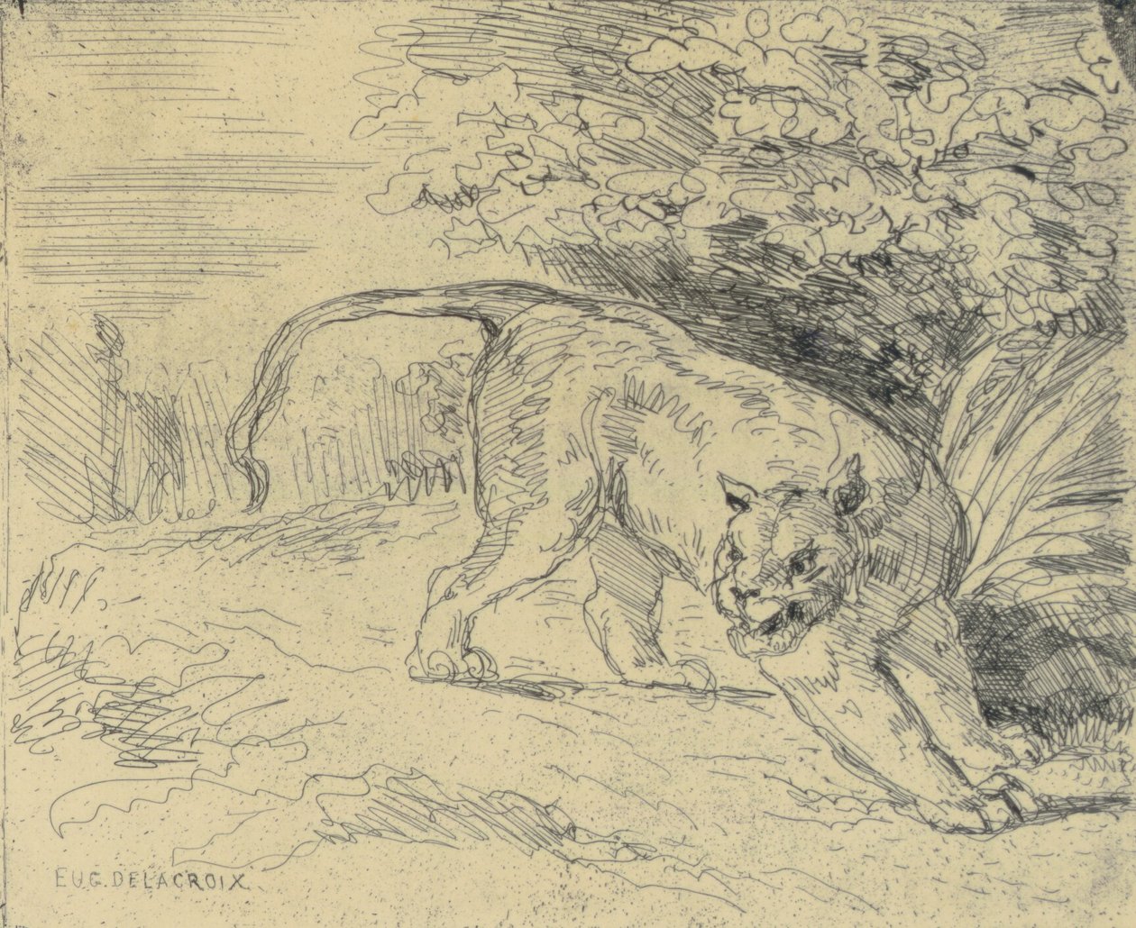 Tigre en Arrêt 作者 尤金·德拉克洛瓦