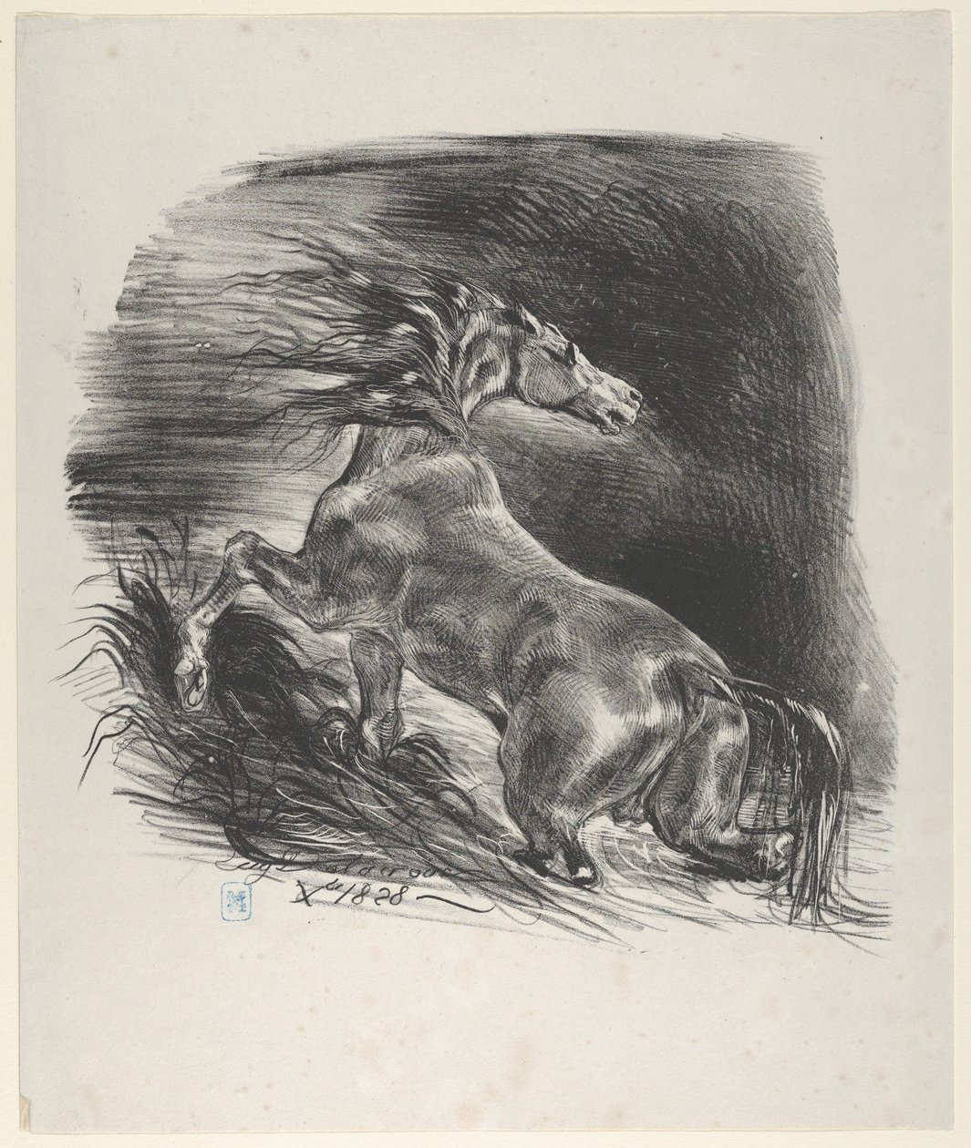 野马，1828.，1828.。 作者 尤金·德拉克洛瓦
