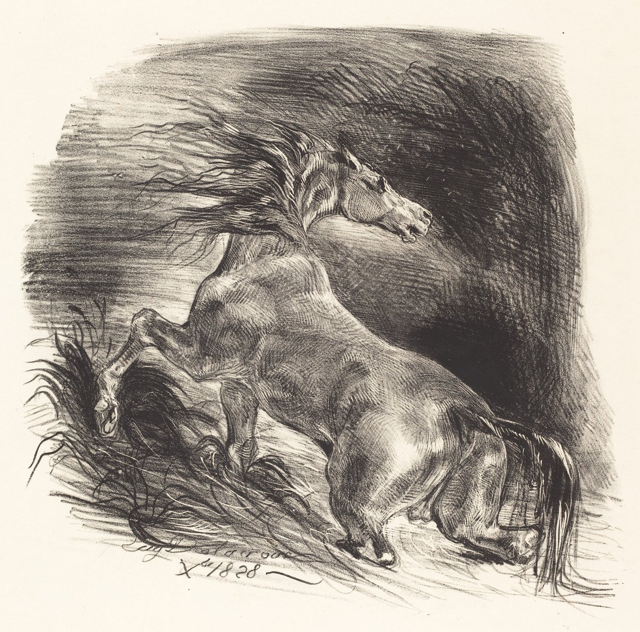 出水的野马 Cheval sauvage, 1828年。 作者 尤金·德拉克洛瓦