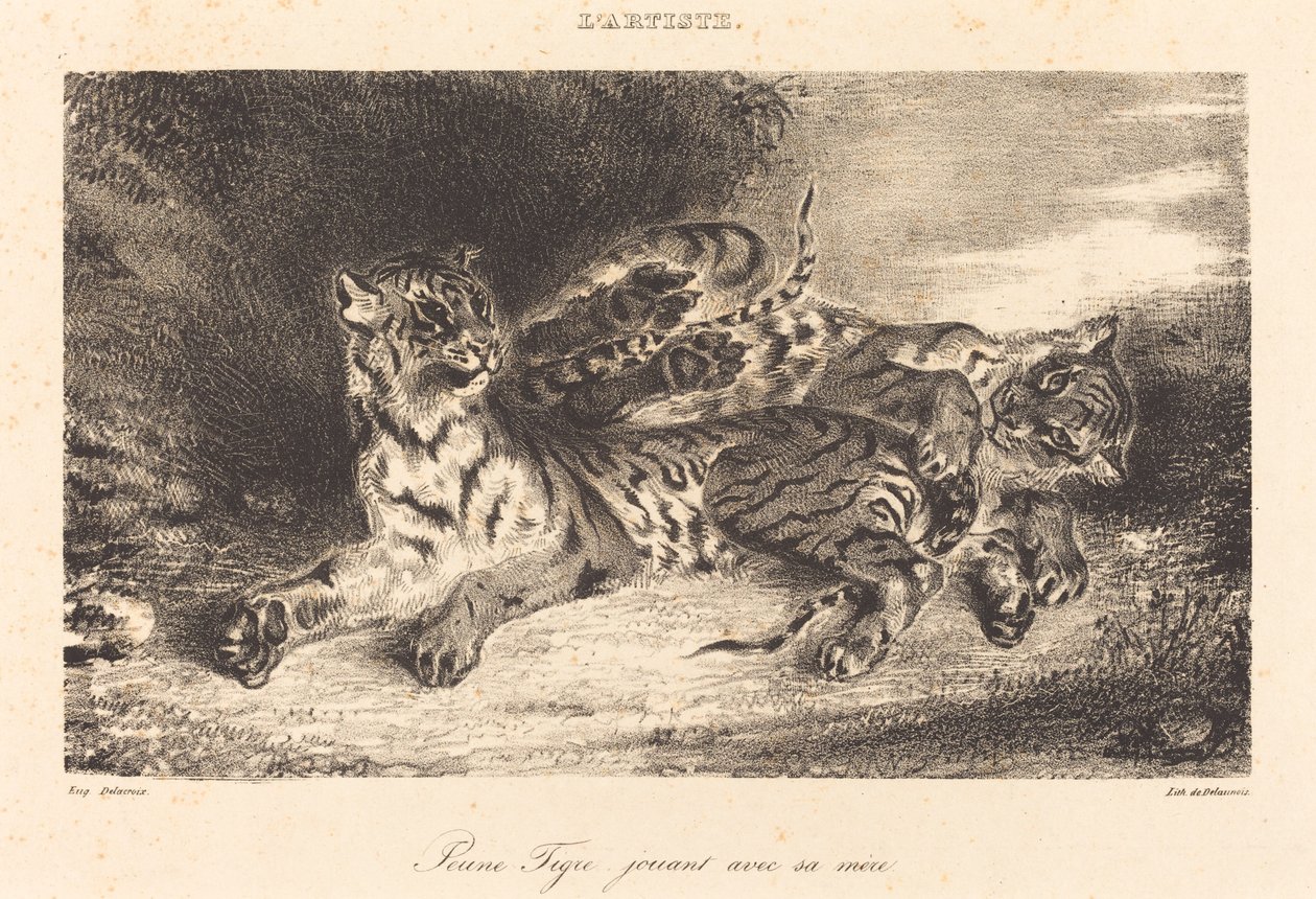年轻的老虎和它的母亲一起玩耍 Jeune tigre jouant avec sa mère, 1831. 作者 尤金·德拉克洛瓦