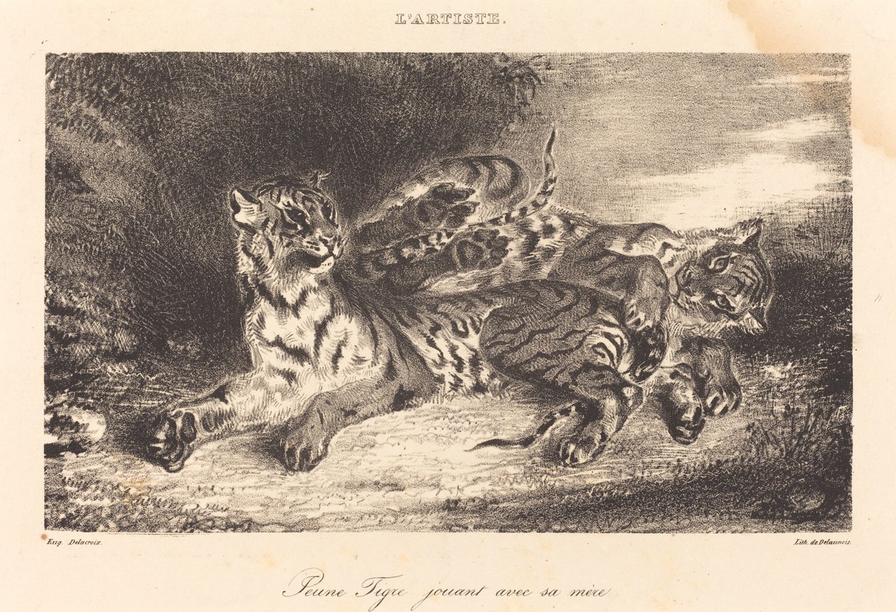 年轻的老虎和它的母亲一起玩耍 Jeune tigre jouant avec sa mère, 1831. 作者 尤金·德拉克洛瓦