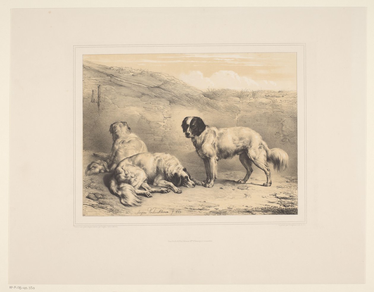 Drie honden
Diverse dieren（系列名称）
动物研究（丛书名） 作者 欧仁·韦伯霍芬（EugèneVerboeckhoven）