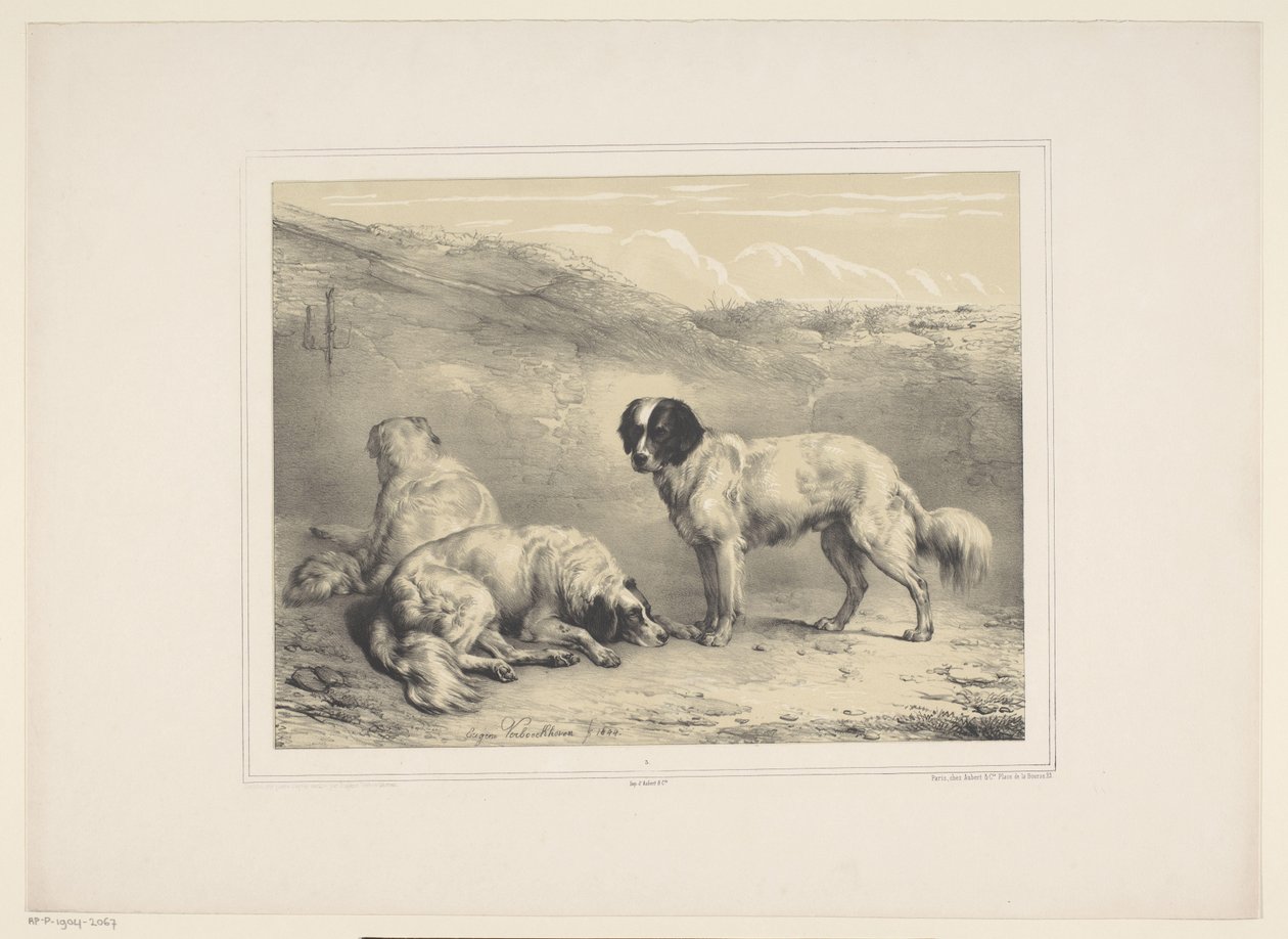 Drie honden
Diverse tamme dieren（系列名称）
十三种家畜和本地动物（丛书名） 作者 欧仁·韦伯霍芬（EugèneVerboeckhoven）
