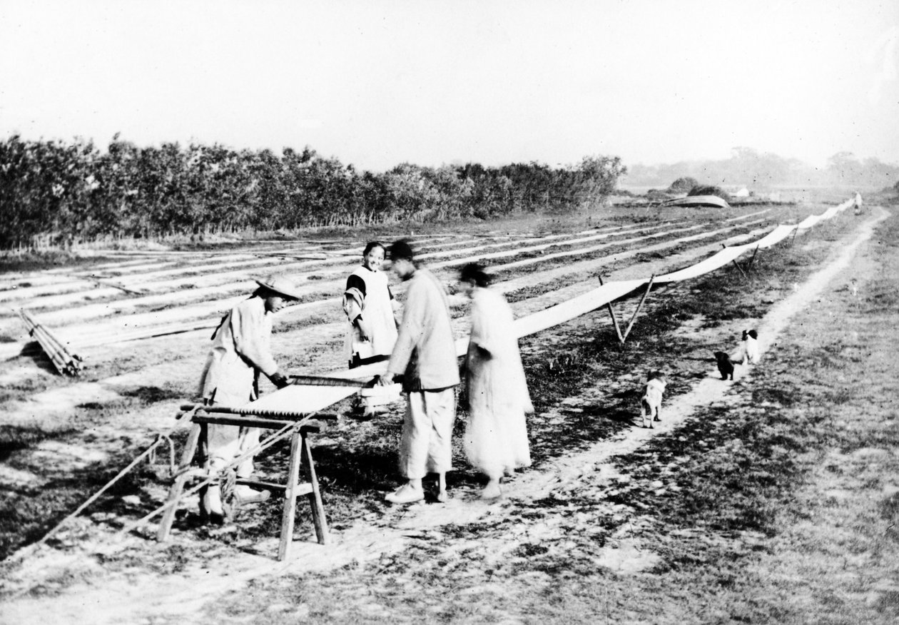 中国编织者，第1870-80页 作者 欧洲摄影师