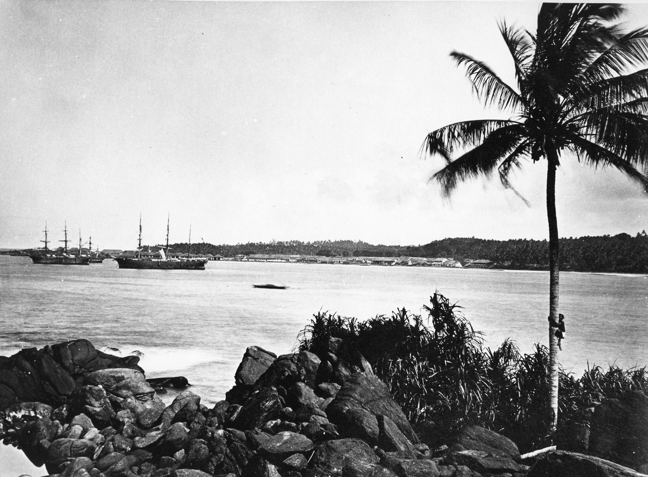 科伦坡港，1860-80 作者 欧洲摄影师