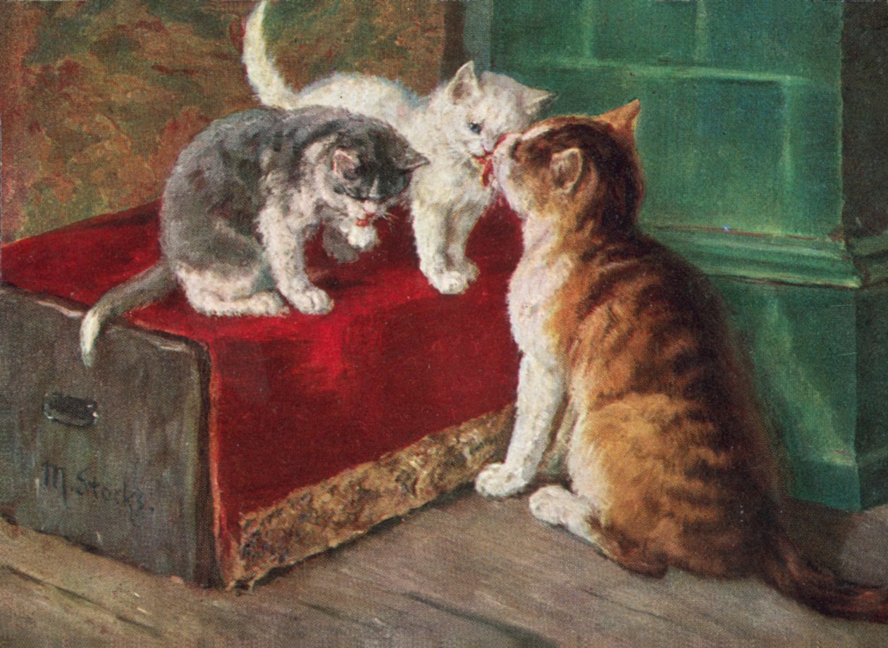 猫明信片（彩色平版） 作者 欧洲学校