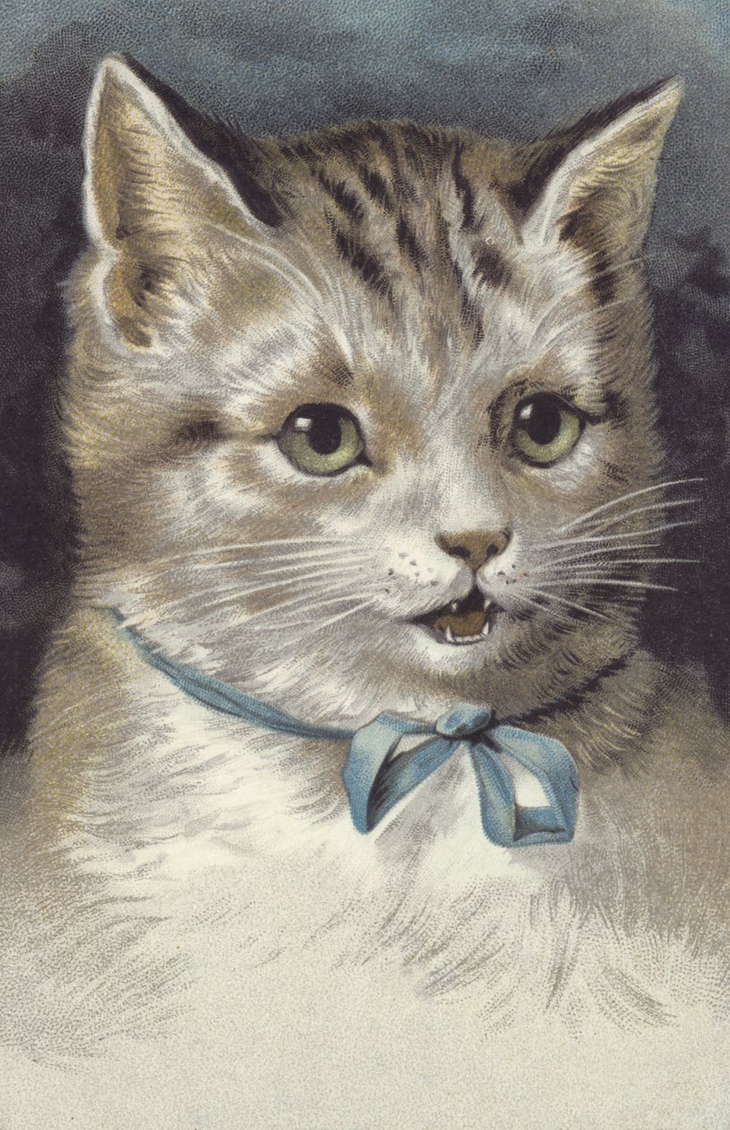 蓝领猫（chromolitho） 作者 欧洲学校