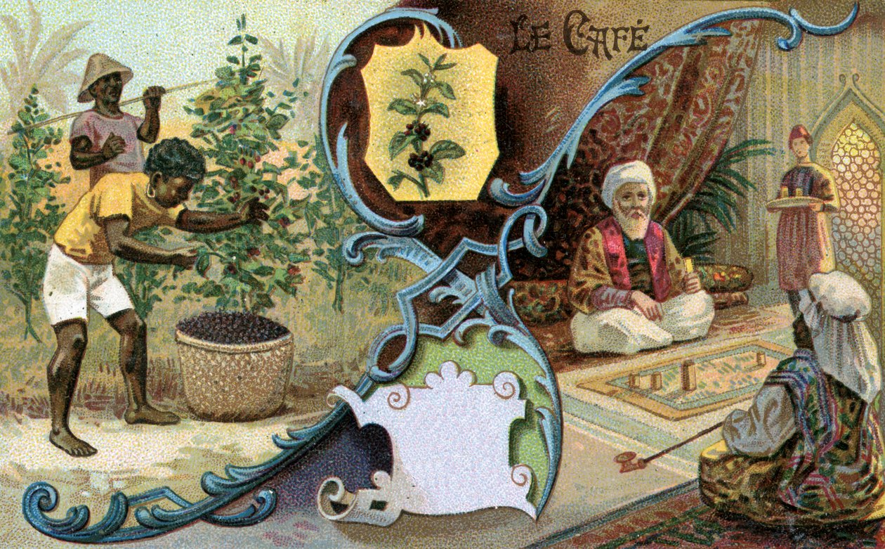 咖啡，1899年 作者 欧洲学校