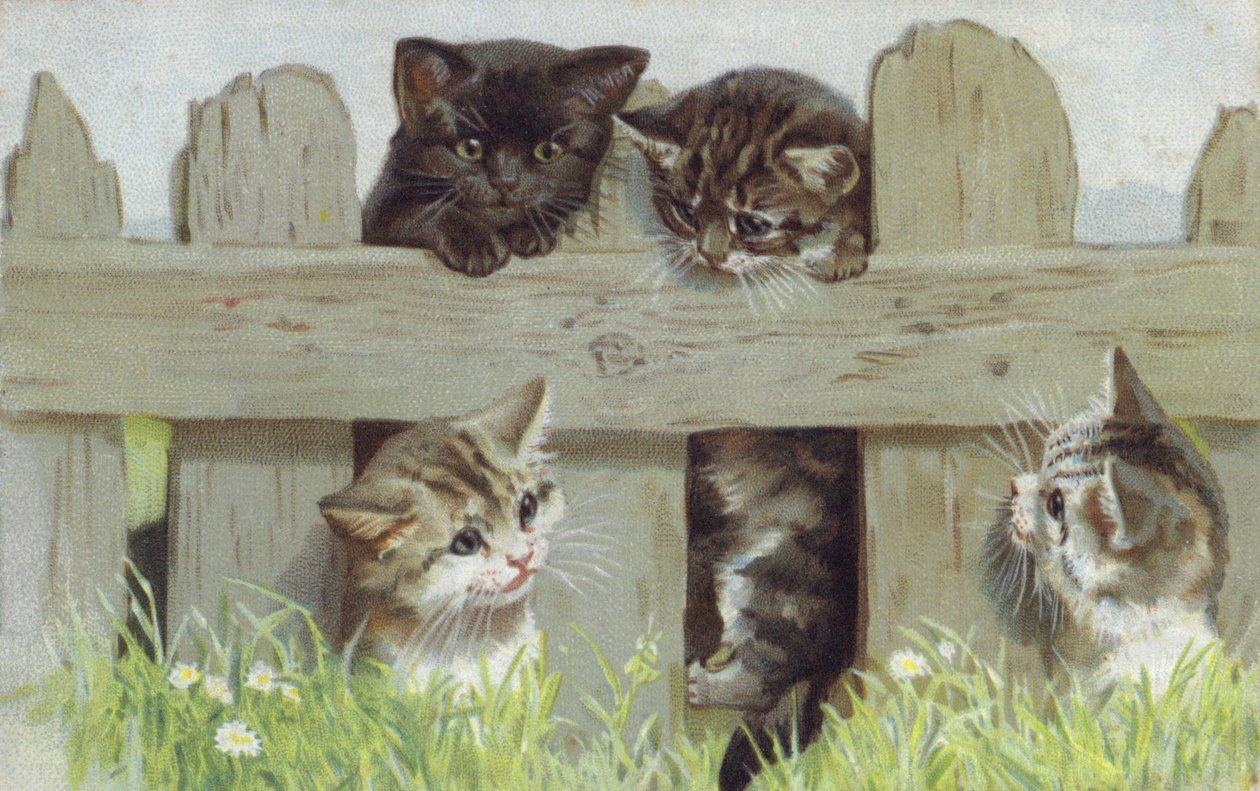 篱笆边的四只小猫（chromolitho） 作者 欧洲学校