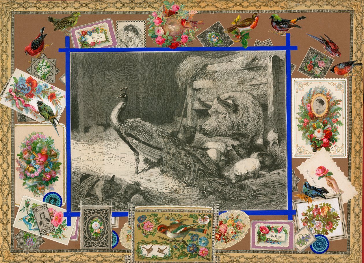 Sammelsurium 第十一卷页面（印刷品） 作者 欧洲学校