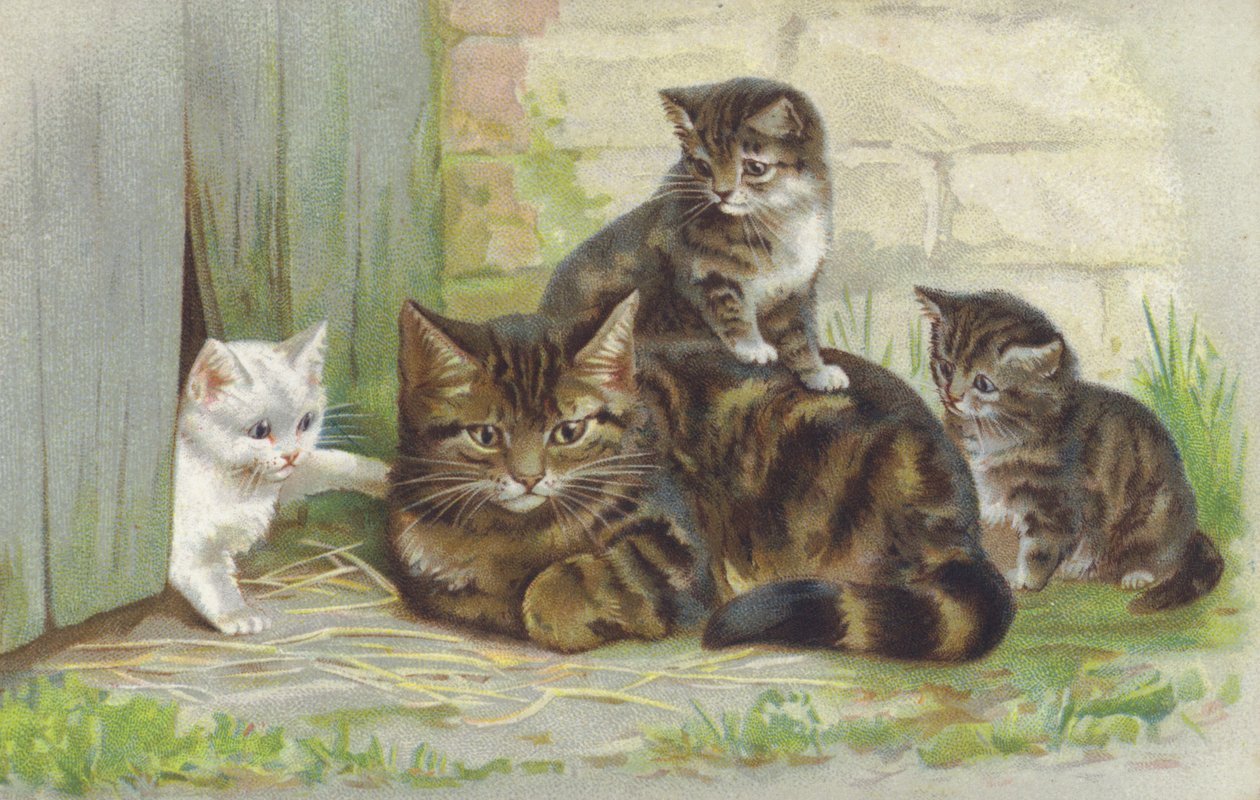 带着三只小猫的虎斑猫（chromolitho） 作者 欧洲学校