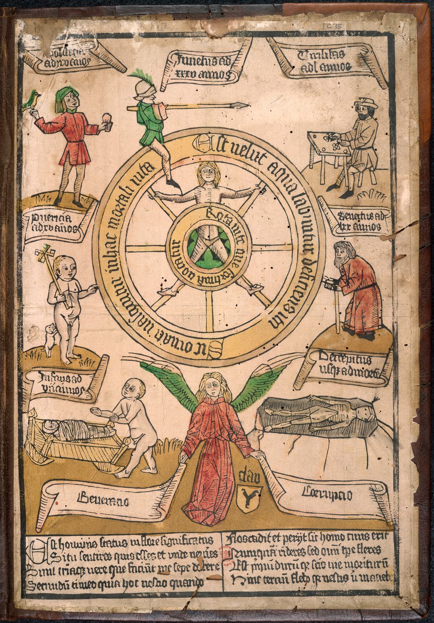 幸运之轮，选自《Rota uite que fortuna uocatur》，约 1460 年（彩色木版画） 作者 欧洲学校