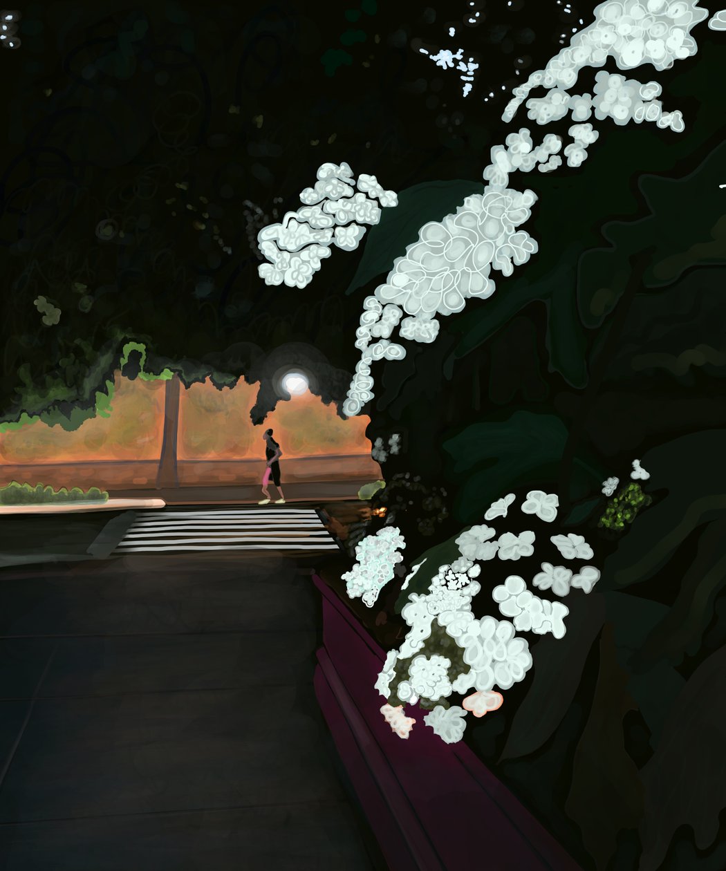 早上 6 点。下雨的早晨和慢跑者。西展望公园（数字艺术） 作者 埃文·斯克拉