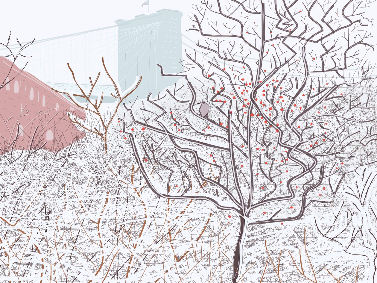 雪中鸟，布鲁克林大桥公园（数字艺术） 作者 埃文·斯克拉