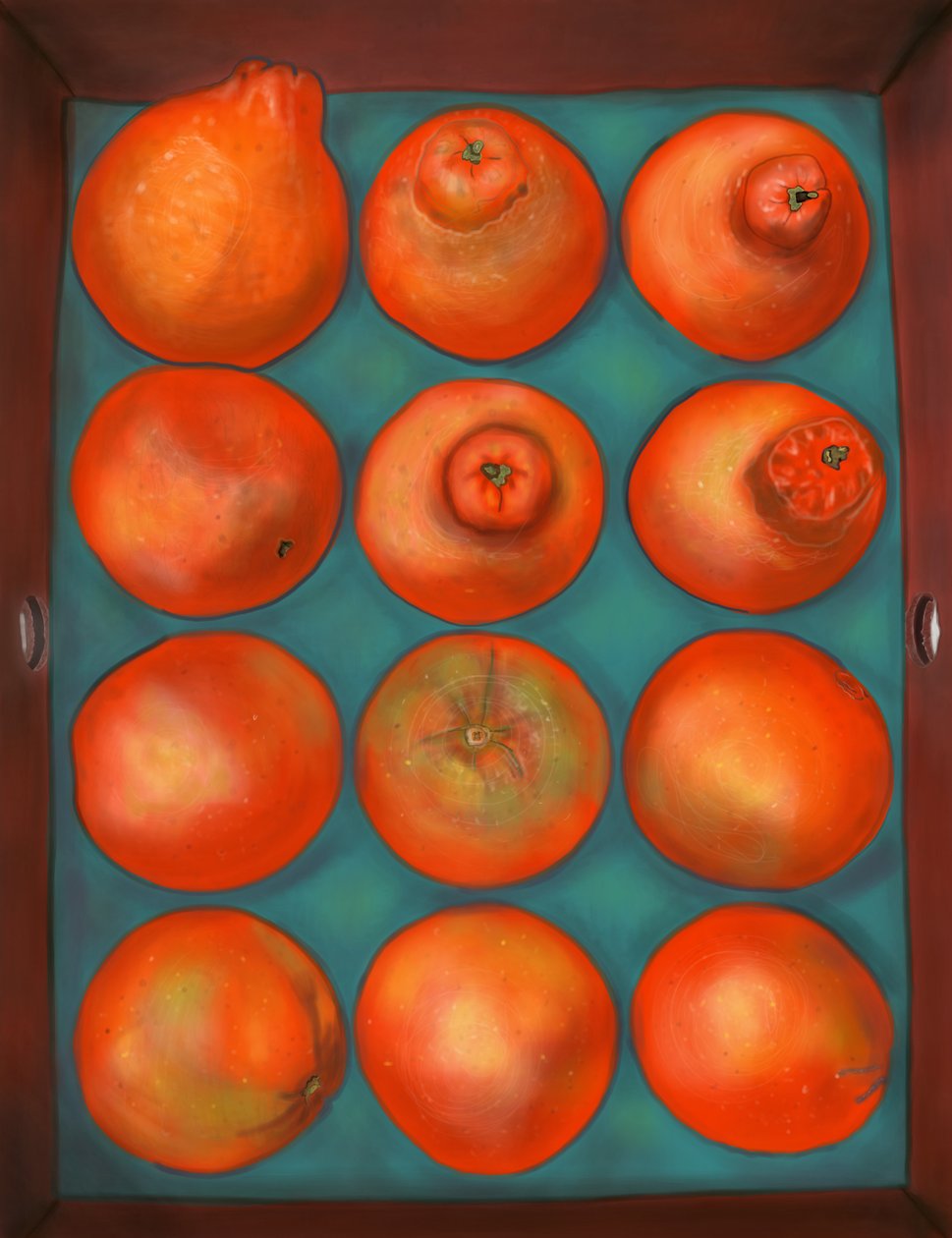 一箱橘子 作者 埃文·斯克拉