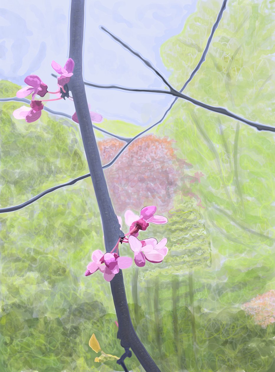 花枝招展（数字艺术） 作者 埃文·斯克拉