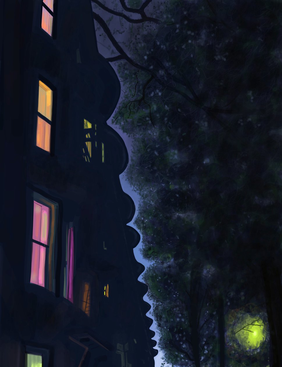 布鲁克林夜晚的楼顶（数字艺术） 作者 埃文·斯克拉