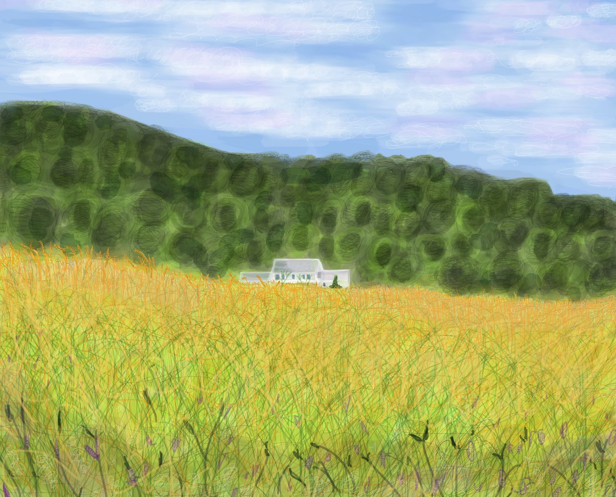 佛蒙特州的田野和农舍，2018 年（用 Apple 铅笔在 iPad 上手绘） 作者 埃文·斯克拉