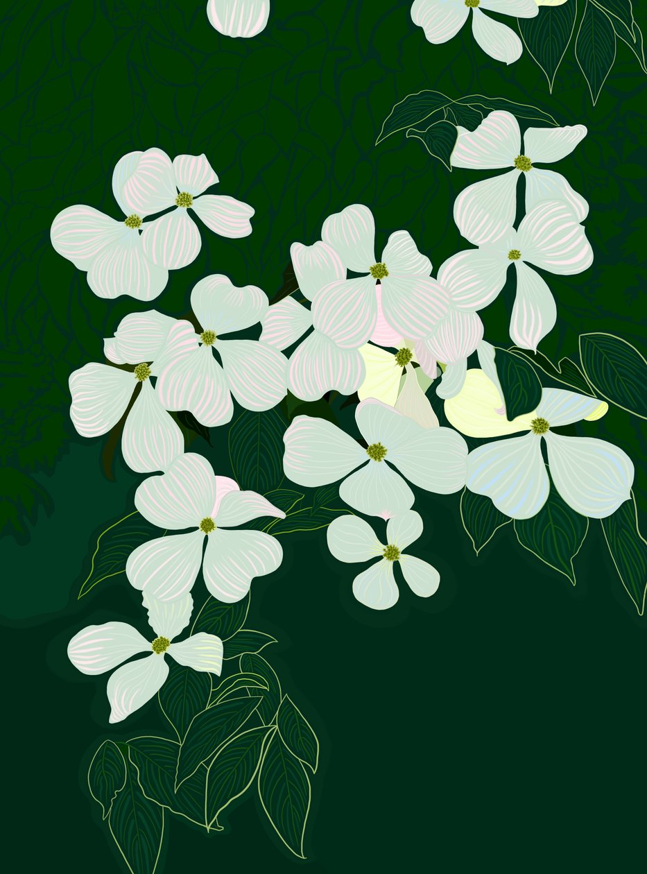 开花的山茱萸，约 2020-24 （数字艺术） 作者 埃文·斯克拉