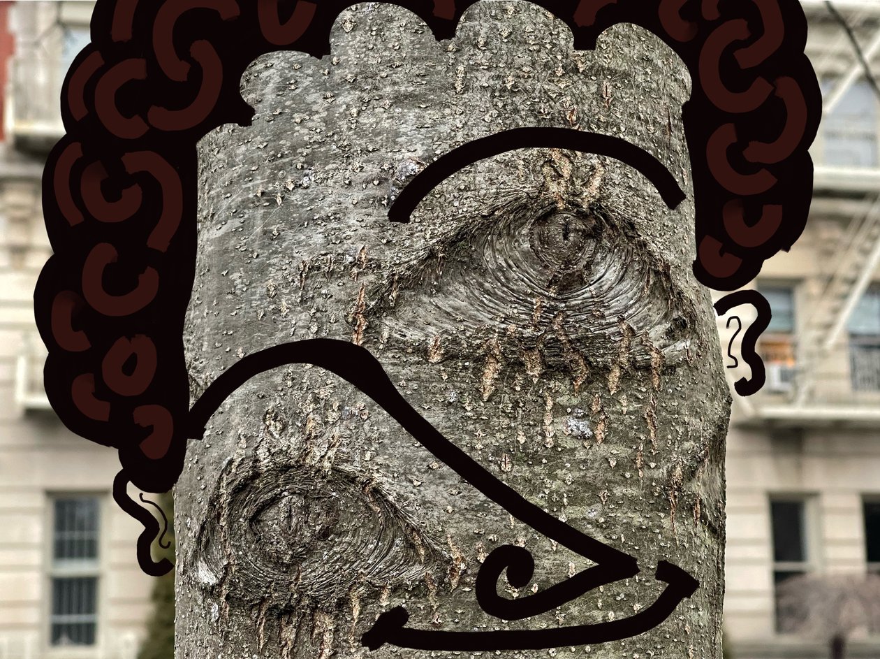 利用摄影和绘画i 布鲁克林（数字艺术）绘制树脸插图 作者 埃文·斯克拉