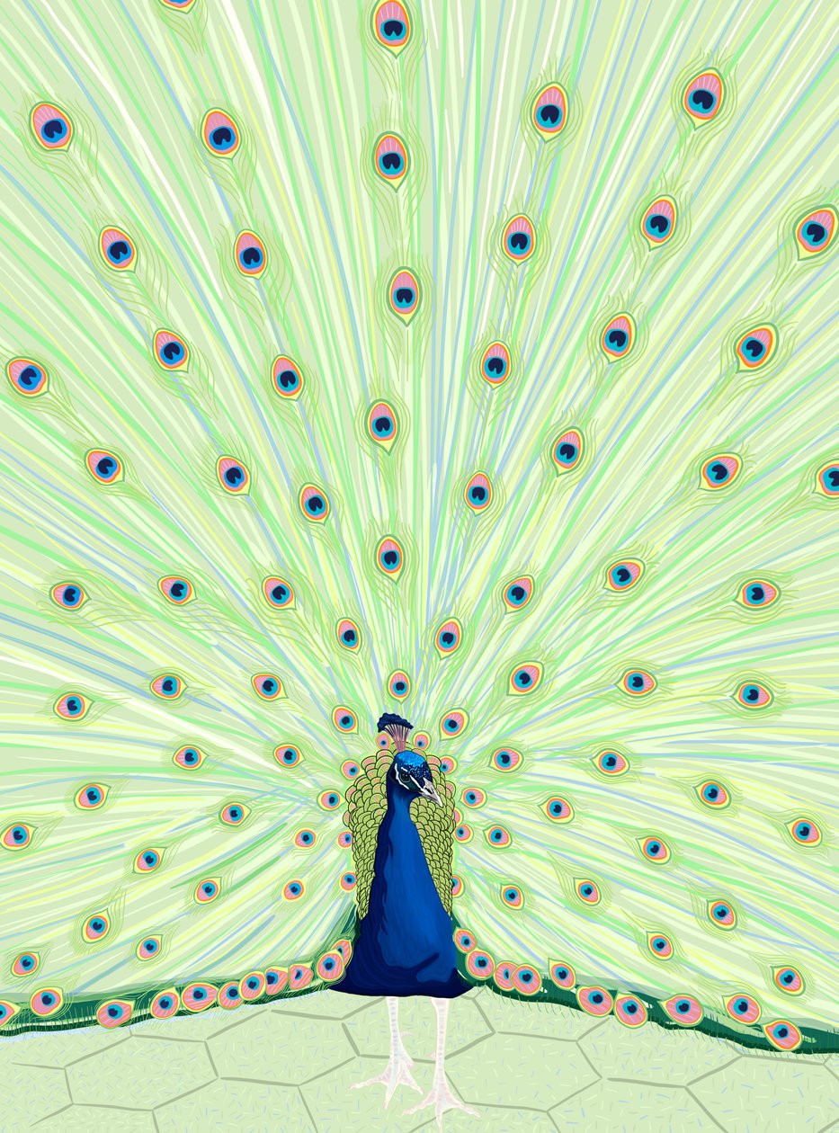  作者 埃文·斯克拉