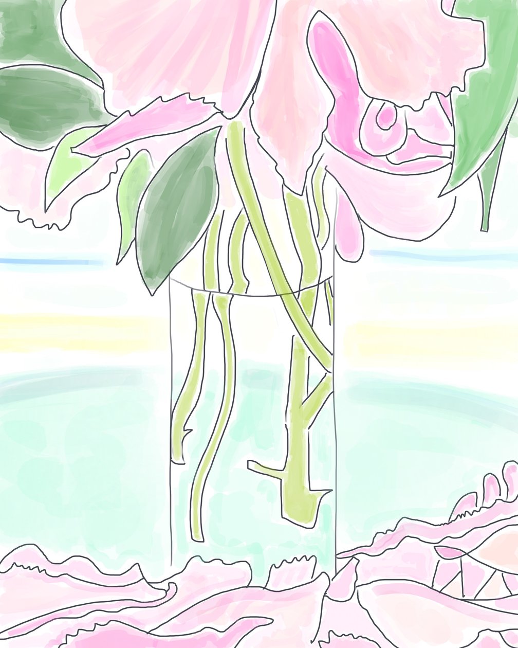 花瓶中的牡丹，布鲁克林（数字艺术） 作者 埃文·斯克拉