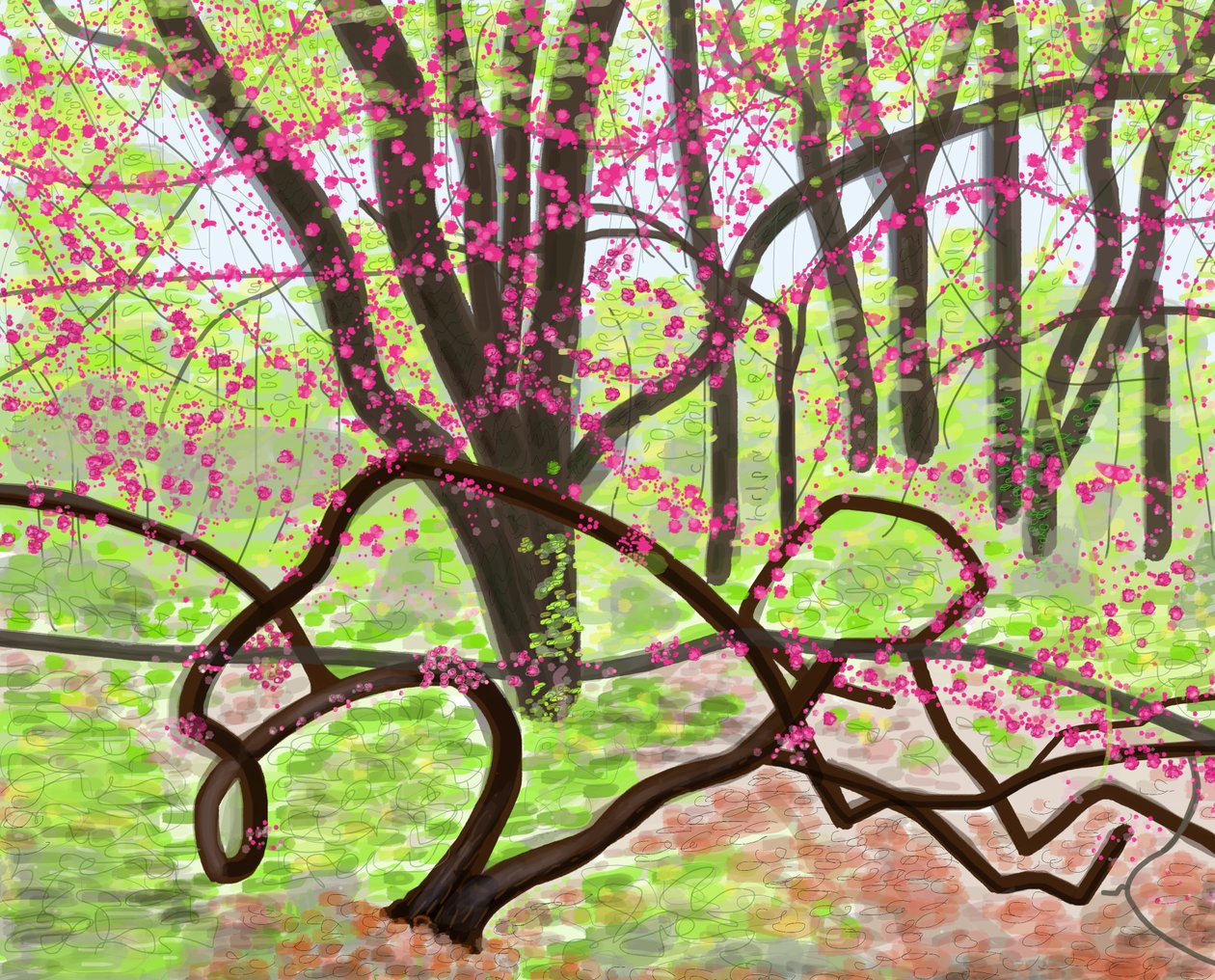 展望公园，2017 年春（用 Apple 铅笔在 iPad 上手绘） 作者 埃文·斯克拉
