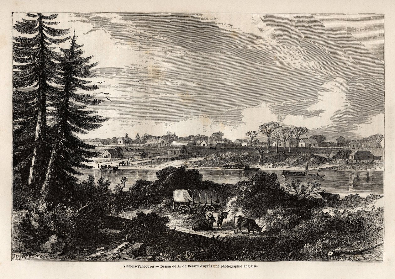 不列颠哥伦比亚省首府维多利亚-温哥华的景色，由Auguste de Berard（1824-81）绘制，用于说明1857-59年John Palliser船长对落基山脉的探索。雕刻在 "世界之旅，新的航海杂志 "巴黎。 作者 Evremond de (after) Berard