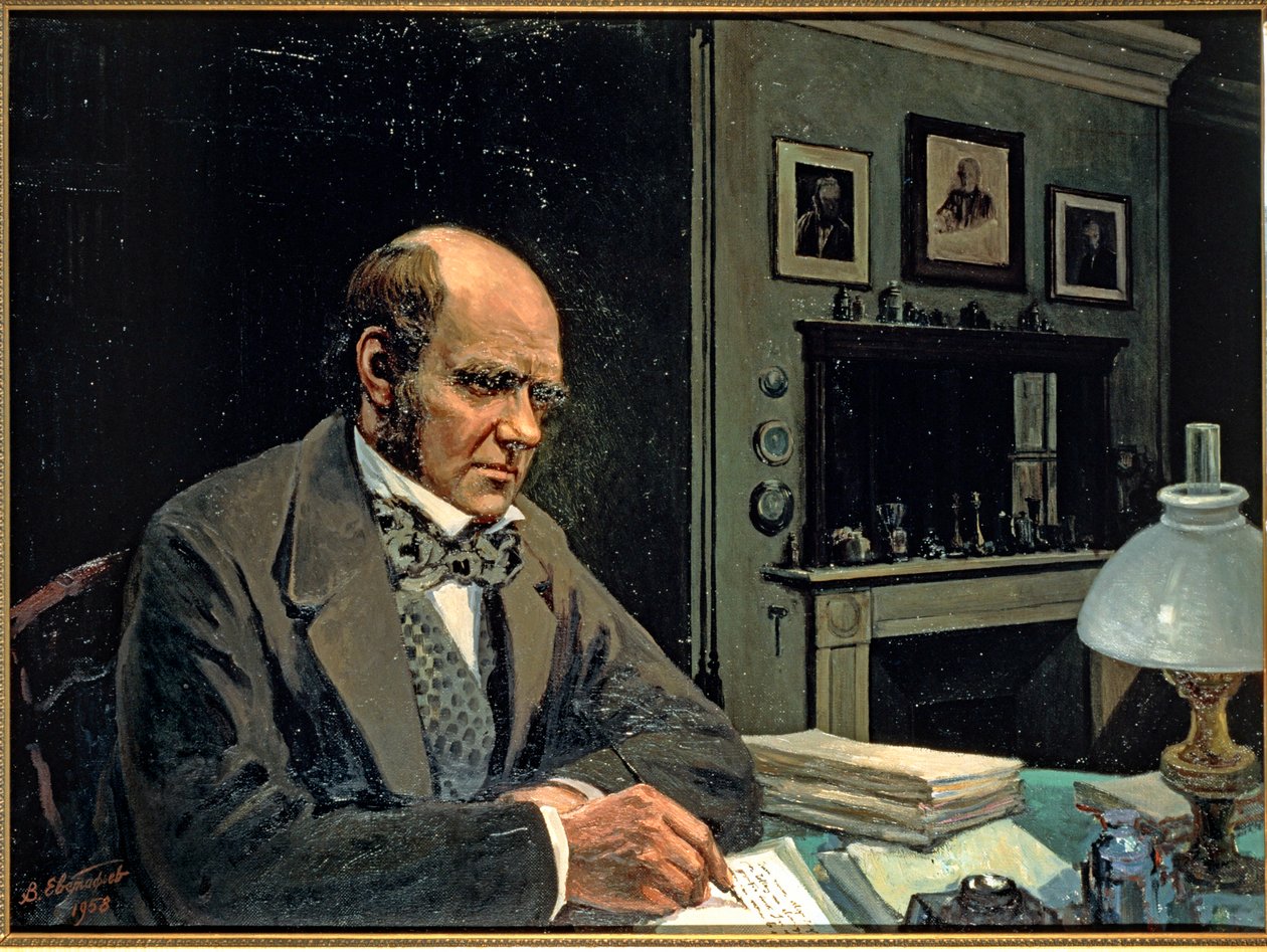  作者 埃夫斯塔菲耶夫 Evstafieff