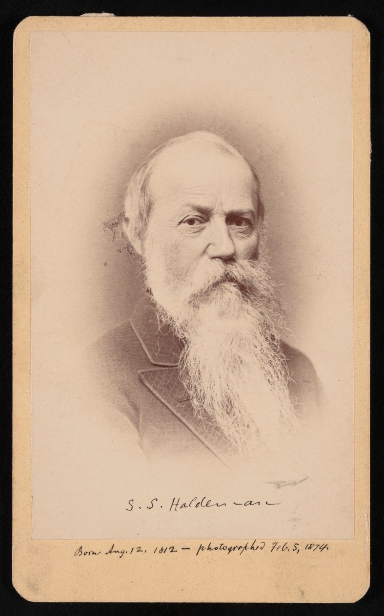 塞缪尔-斯特曼-霍德曼1812-1880年的肖像，1874年2月5日。 作者 FA Wenderoth and Co