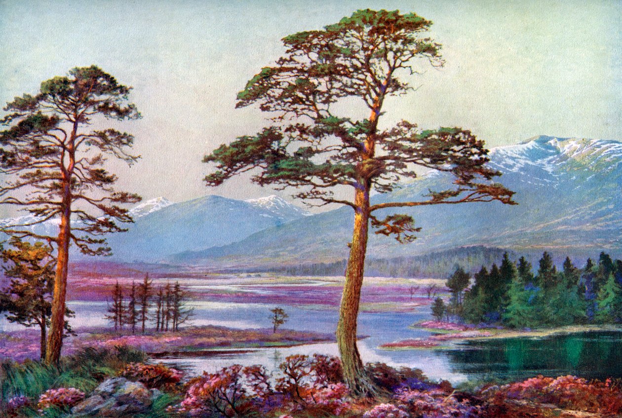 1924-1926年在苏格兰阿格郡黑山的图拉湖上。 作者 瓦雷