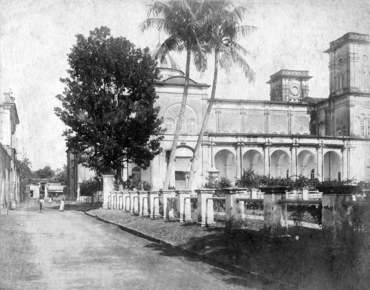 1905-1906年，印度，阿里孔斯 作者 彼得斯