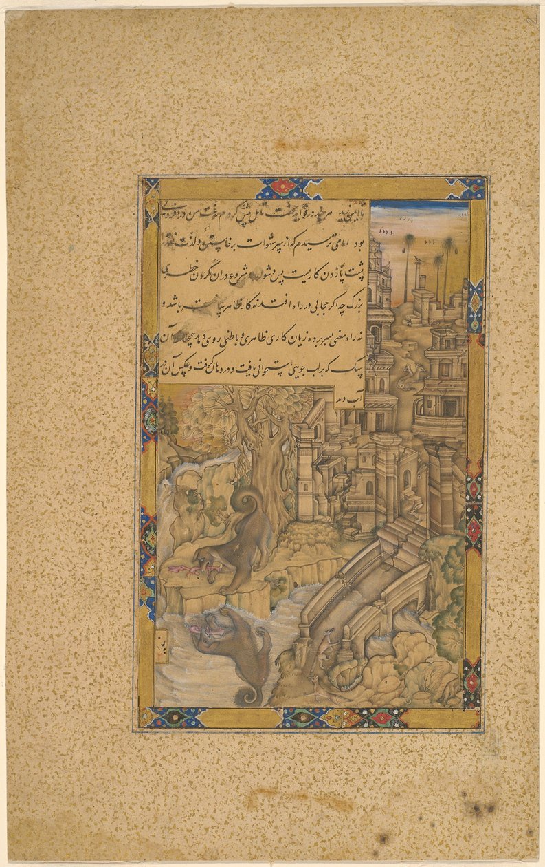 贪婪的狗 作者 法鲁赫·切拉（Farrukh Chela）