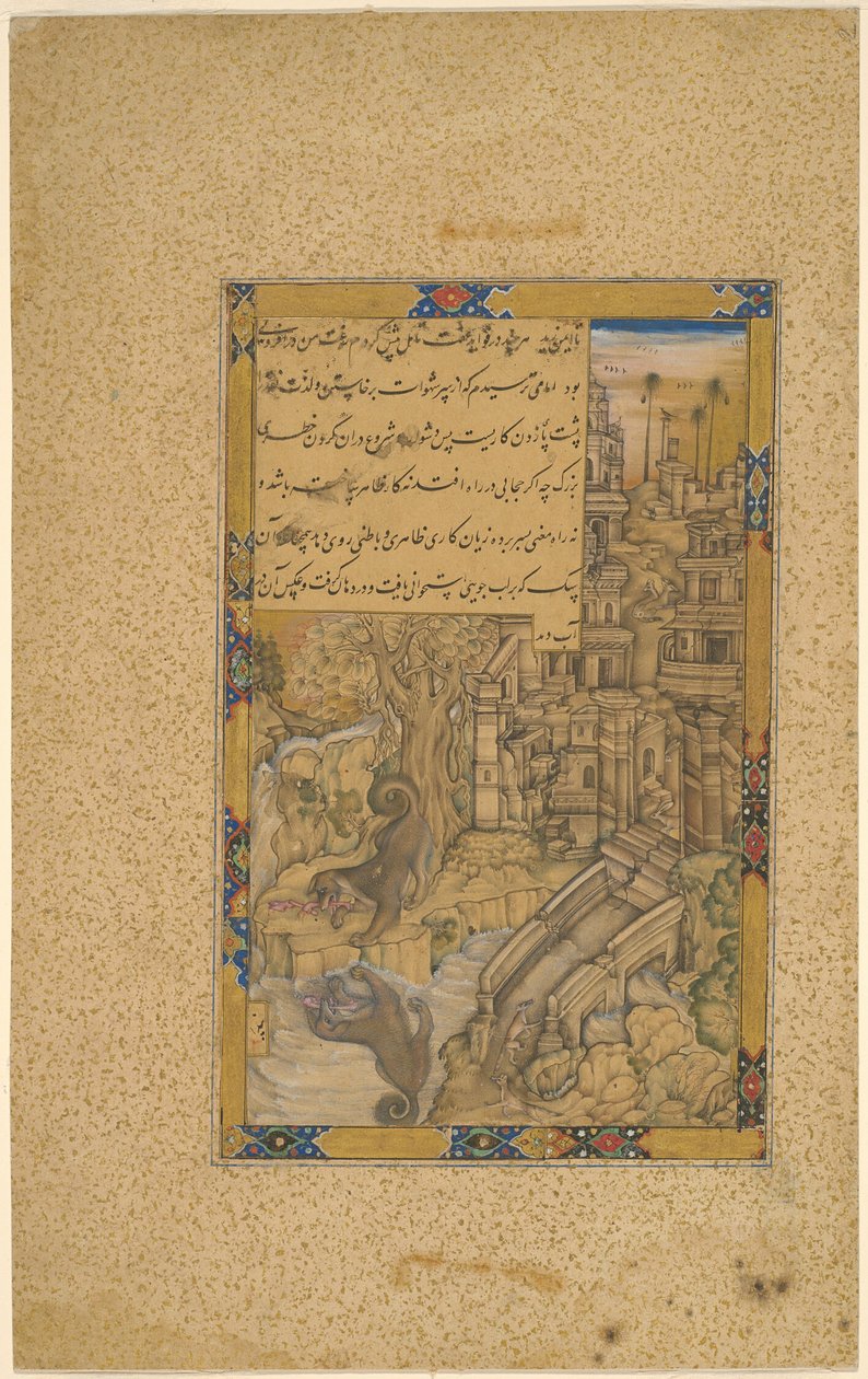 贪婪的狗 作者 法鲁赫·切拉（Farrukh Chela）