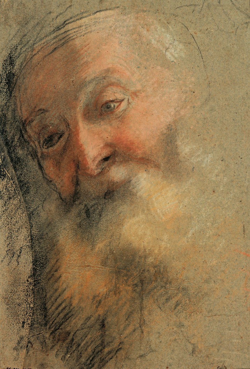 一个有胡子的老人的头，1584-1586 作者 费德里科·巴罗奇