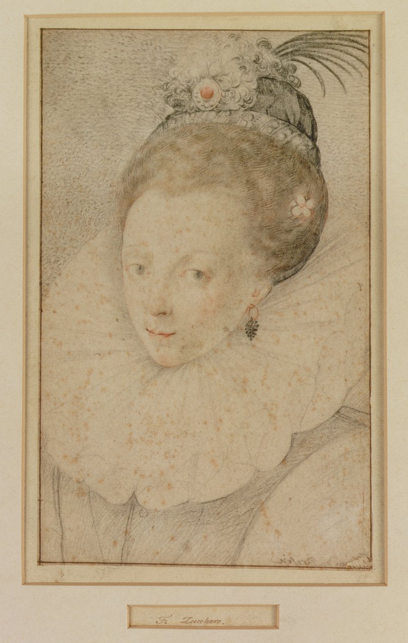 女王伊丽莎白一世（1533-1603）16世纪的肖像 作者 费德里科·祖卡罗
