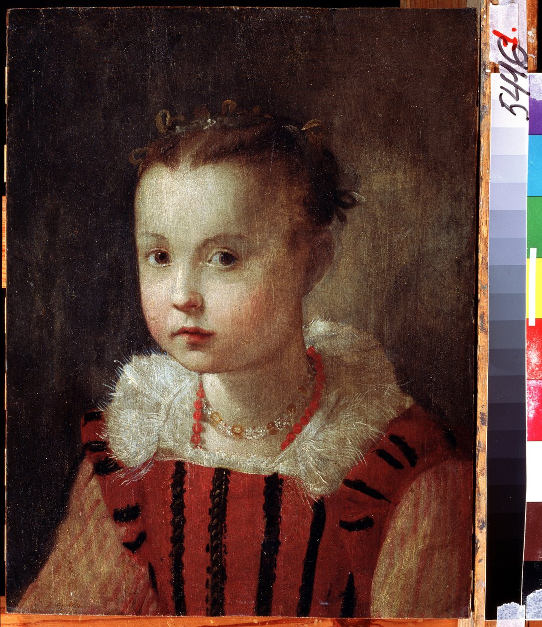 "小女孩的肖像"，衣着华丽的儿童。Federico Fiori Barocci 或 Baroccio（约 1535-1612 年）的画作，俄罗斯库尔斯克地区 Deineka 美术馆 作者 费德里科·菲奥里（Federico Fiori）Barocci或Baroccio