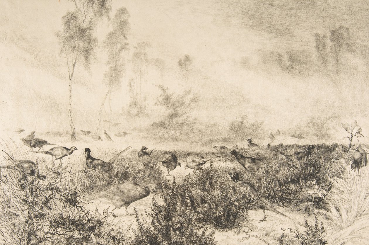 晨雾，1882年。 作者 费利克斯·布拉克蒙德