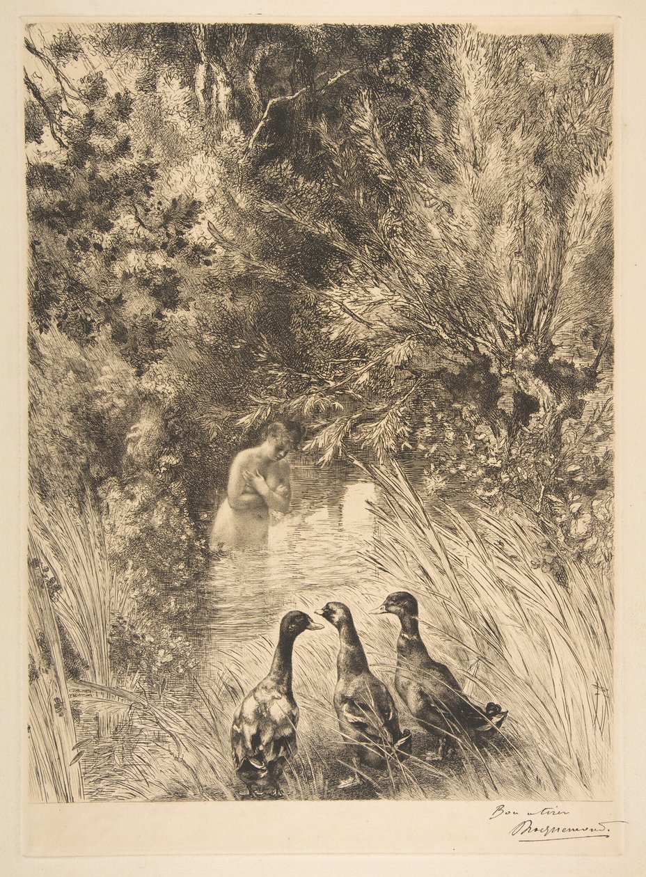 鸭子感到惊讶，1882年。 作者 费利克斯·布拉克蒙德